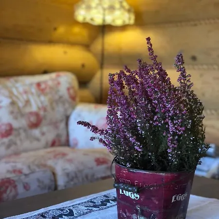 Resetowka - W Dzien Wyjazdu Zostan Do Wieczora Holiday home *