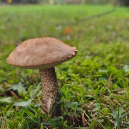 Resetowka - W Dzien Wyjazdu Zostan Do Wieczora בית נופש