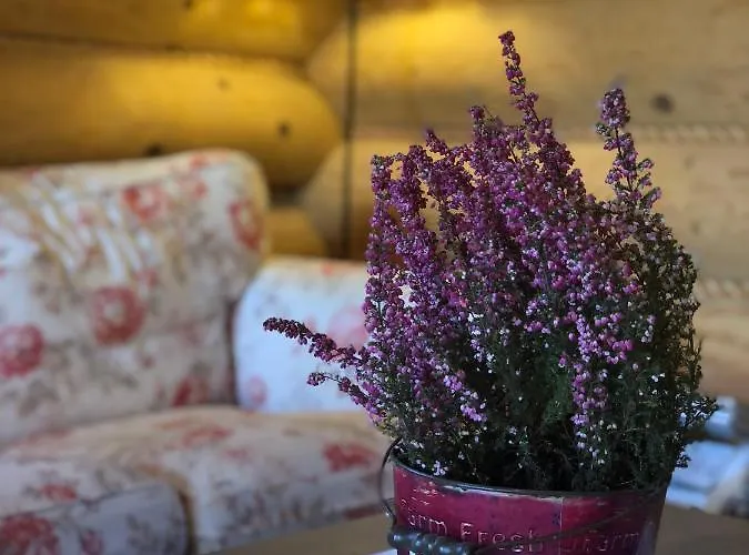 Resetowka - W Dzien Wyjazdu Zostan Do Wieczora Vakantiehuis *