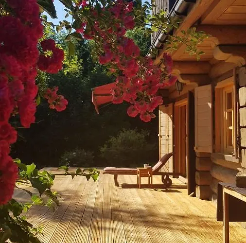 Resetowka - W Dzien Wyjazdu Zostan Do Wieczora * ברנה