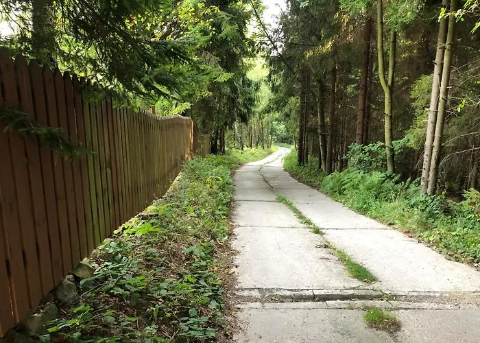 Resetowka - W Dzien Wyjazdu Zostan Do Wieczora *