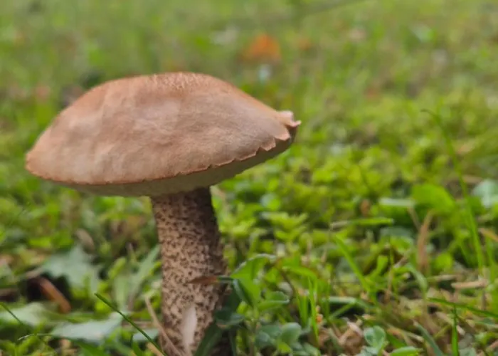 Resetowka - W Dzien Wyjazdu Zostan Do Wieczora Vakantiehuis